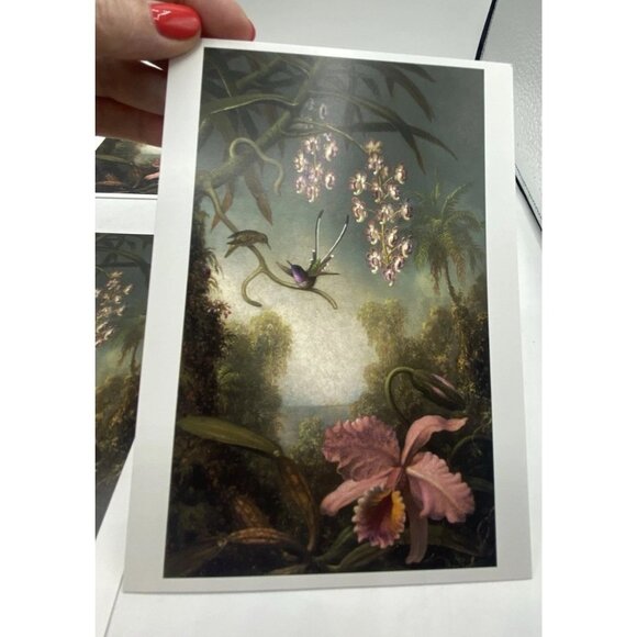 Museum of Fine Arts Boston Note Cards 6 Blank Orchids Hummingbirds w/ Envelopes - Picture 2 of 15